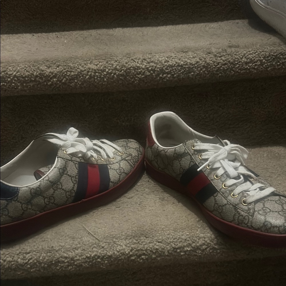 Gucci Monogram Sneakers with Red and Blue Stripes